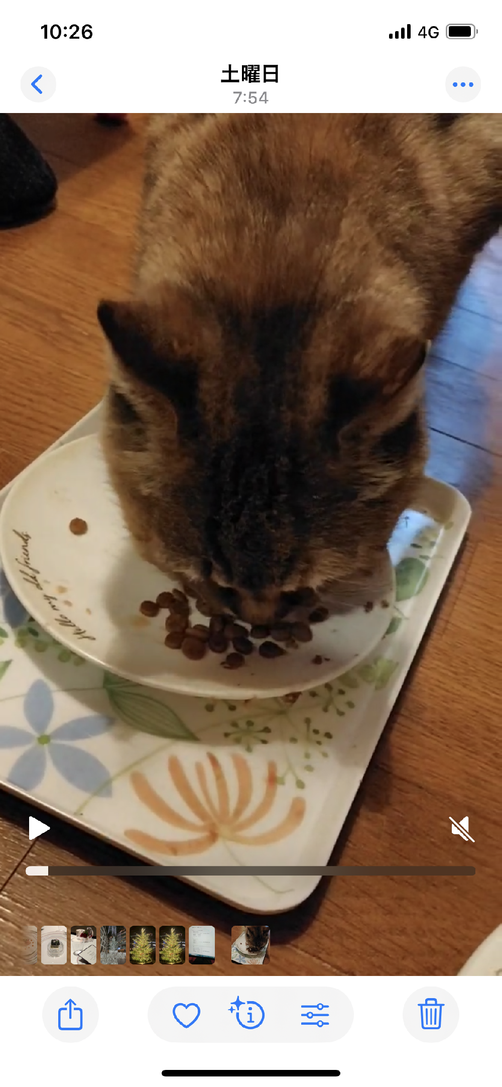 猫ちゃん用振音スピーカー